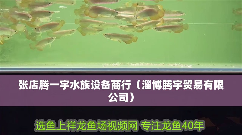 張店騰一宇水族設備商行（淄博騰宇貿易有限公司）