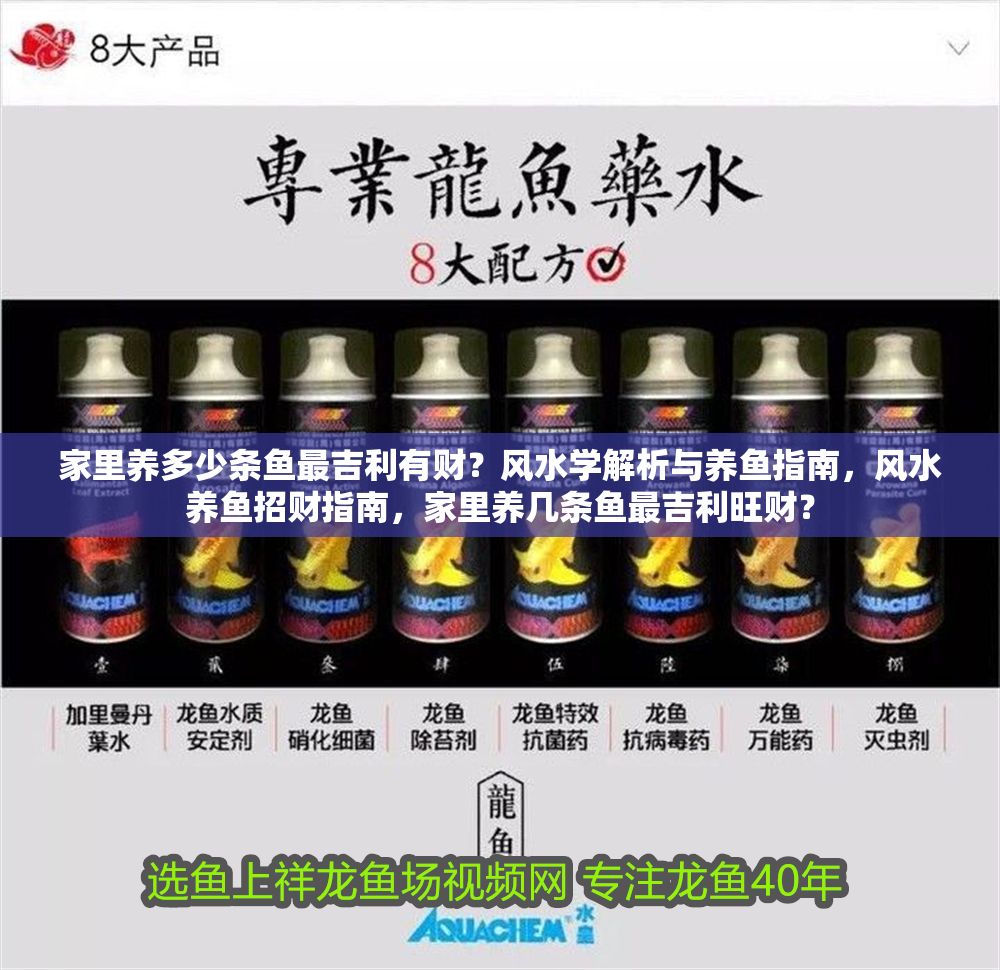 家里養多少條魚最吉利有財？風水學解析與養魚指南，風水養魚招財指南，家里養幾條魚最吉利旺財？