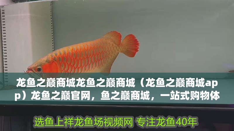 龍魚之巔商城龍魚之巔商城（龍魚之巔商城app）龍魚之巔官網，魚之巔商城，一站式購物體驗，盡在龍魚之巔官網