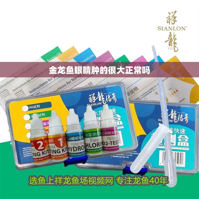 金龍魚眼睛腫的很大正常嗎