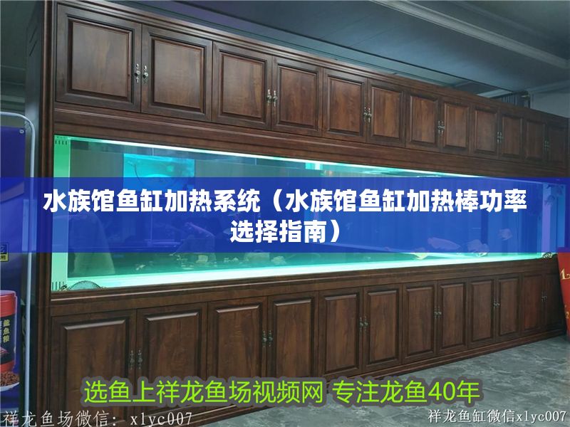 水族館魚缸加熱系統（水族館魚缸加熱棒功率選擇指南）