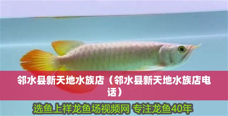 鄰水縣新天地水族店（鄰水縣新天地水族店電話）