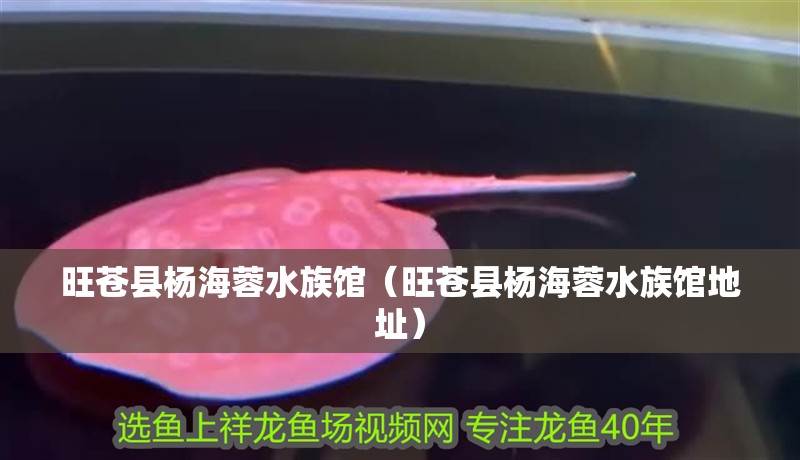 旺蒼縣楊海蓉水族館（旺蒼縣楊海蓉水族館地址）