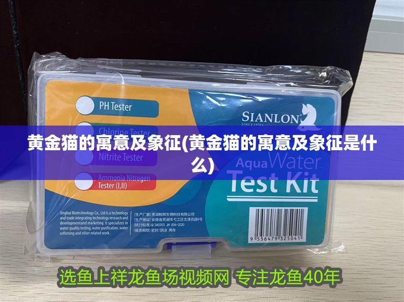 黃金貓的寓意及象征(黃金貓的寓意及象征是什么)