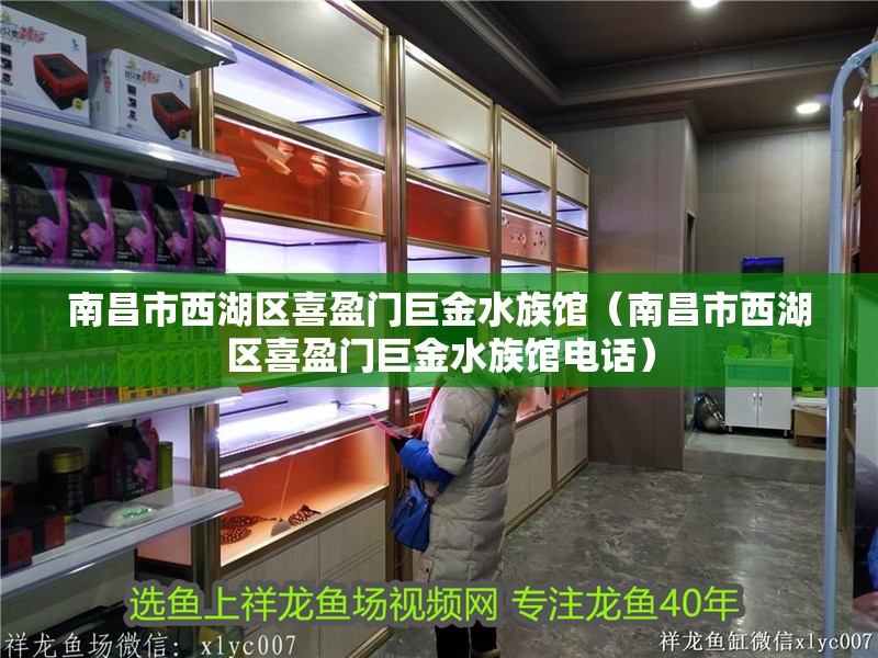 南昌市西湖區(qū)喜盈門巨金水族館（南昌市西湖區(qū)喜盈門巨金水族館電話）