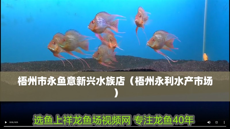 梧州市永魚意新興水族店（梧州永利水產(chǎn)市場(chǎng)）