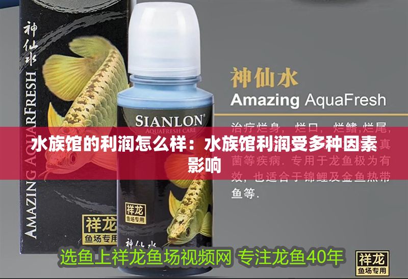 水族館的利潤怎么樣：水族館利潤受多種因素影響