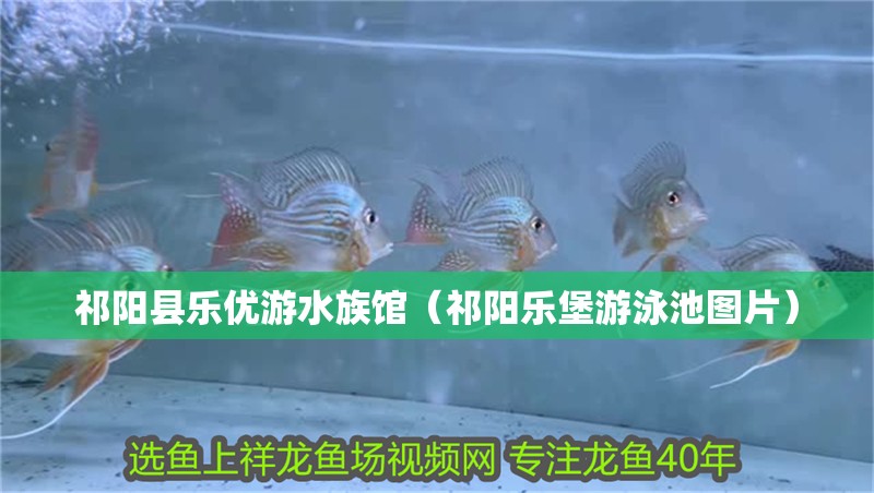 祁陽縣樂優游水族館（祁陽樂堡游泳池圖片）