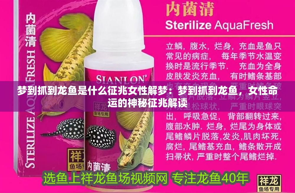 夢(mèng)到抓到龍魚是什么征兆女性解夢(mèng)：夢(mèng)到抓到龍魚，女性命運(yùn)的神秘征兆解讀