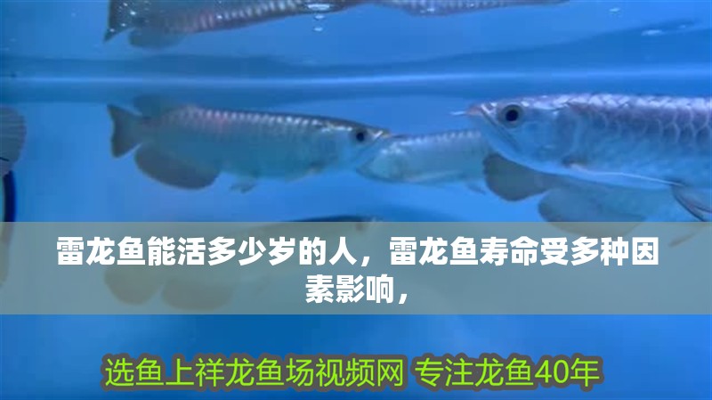 雷龍魚能活多少歲的人，雷龍魚壽命受多種因素影響，