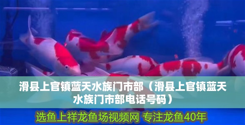 滑縣上官鎮藍天水族門市部（滑縣上官鎮藍天水族門市部電話號碼）