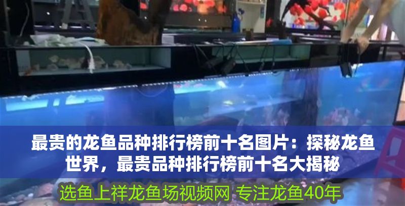 最貴的龍魚品種排行榜前十名圖片：探秘龍魚世界，最貴品種排行榜前十名大揭秘