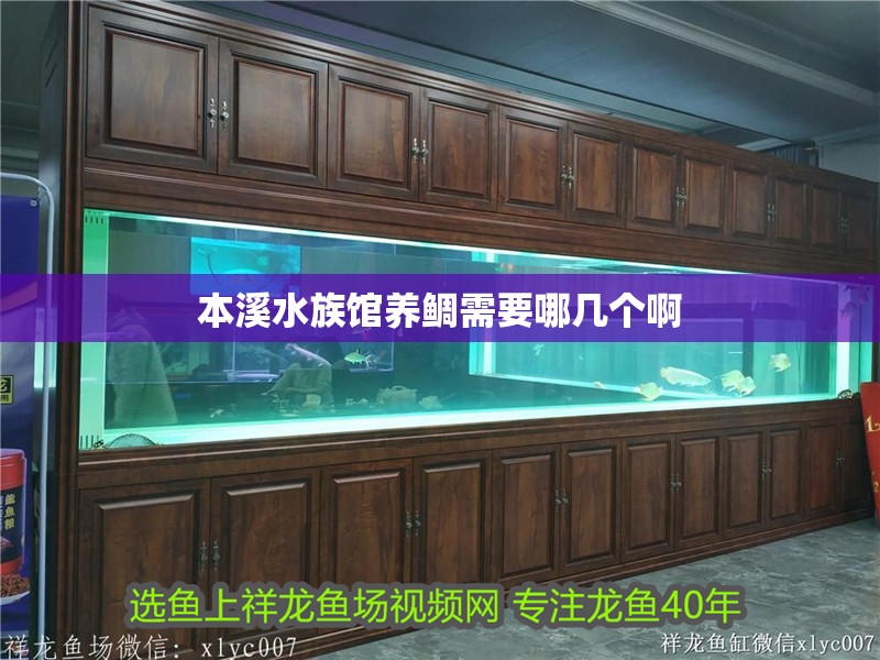 本溪水族館養鯛需要哪幾個啊