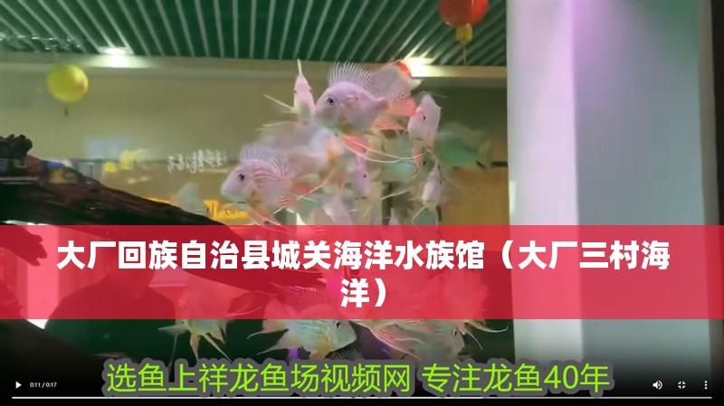 大廠回族自治縣城關海洋水族館（大廠三村海洋）