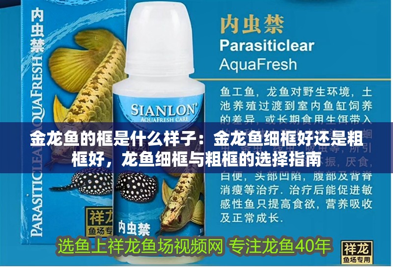金龍魚的框是什么樣子：金龍魚細框好還是粗框好，龍魚細框與粗框的選擇指南