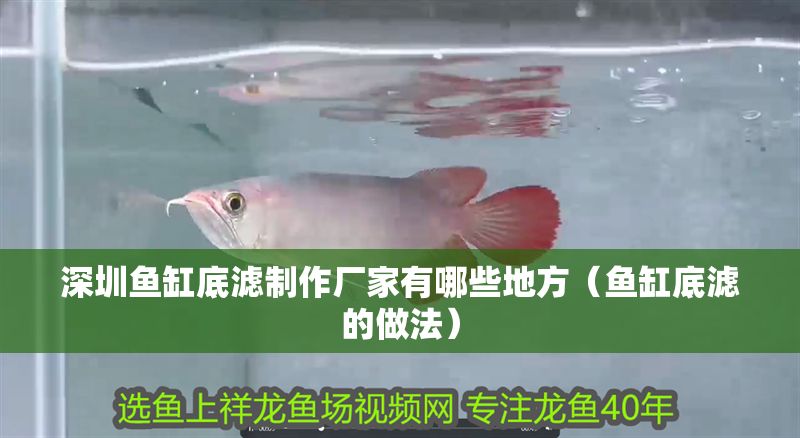 深圳魚缸底濾制作廠家有哪些地方（魚缸底濾的做法）