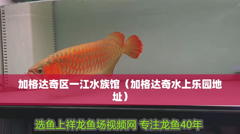 加格達奇區一江水族館（加格達奇水上樂園地址）