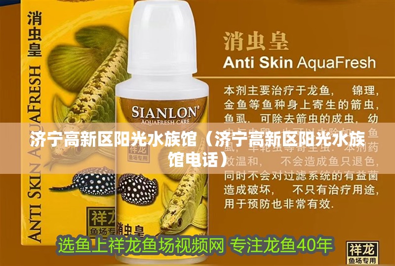 濟寧高新區陽光水族館（濟寧高新區陽光水族館電話）