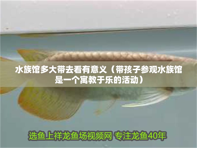 水族館多大帶去看有意義（帶孩子參觀水族館是一個寓教于樂的活動）