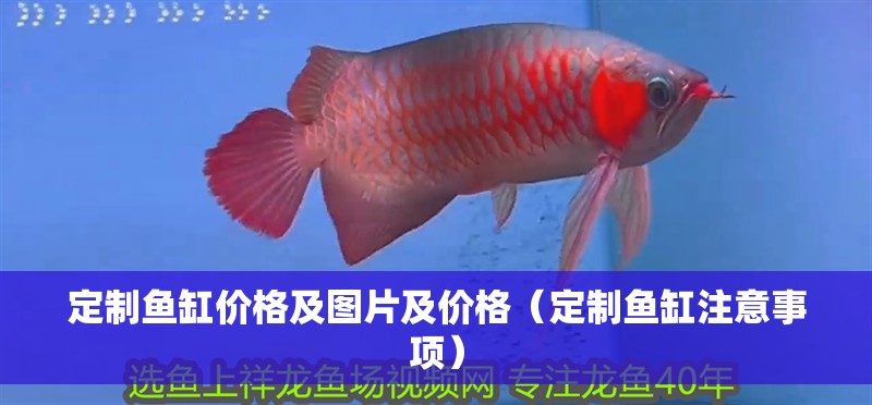 定制魚缸價格及圖片及價格（定制魚缸注意事項）