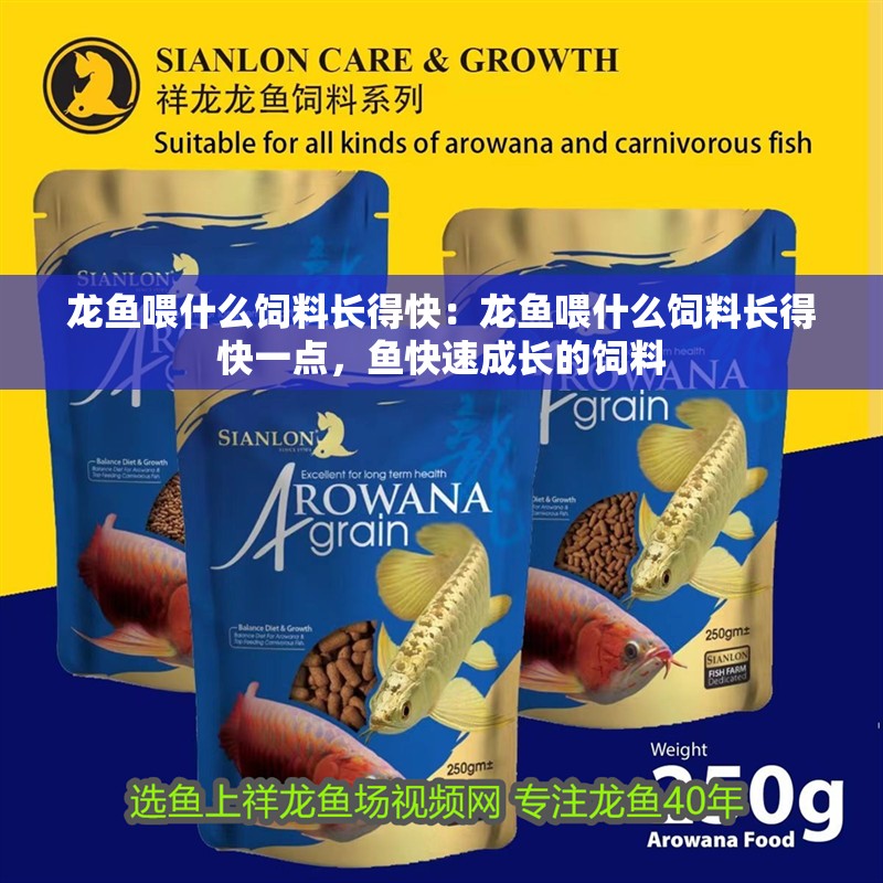 龍魚喂什么飼料長得快：龍魚喂什么飼料長得快一點，魚快速成長的飼料