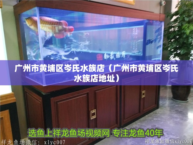 廣州市黃埔區(qū)岑氏水族店（廣州市黃埔區(qū)岑氏水族店地址）