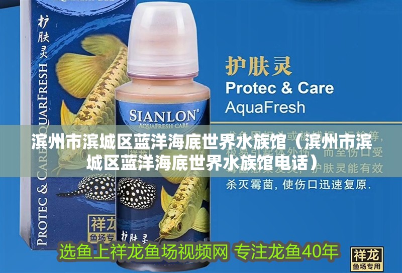 濱州市濱城區(qū)藍(lán)洋海底世界水族館（濱州市濱城區(qū)藍(lán)洋海底世界水族館電話）