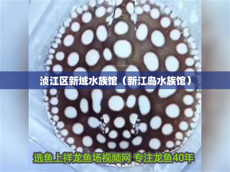 湞江區新域水族館（新江島水族館）