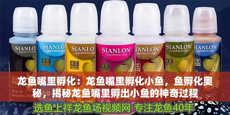 龍魚嘴里孵化：龍魚嘴里孵化小魚，魚孵化奧秘，揭秘龍魚嘴里孵出小魚的神奇過程