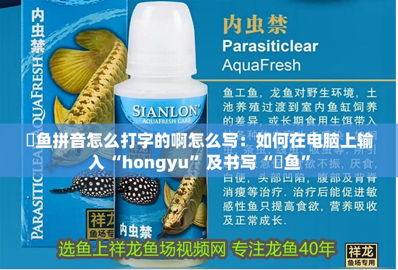 魟魚拼音怎么打字的啊怎么寫：如何在電腦上輸入“hongyu”及書寫“魟魚”