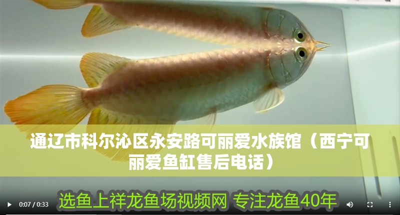 通遼市科爾沁區永安路可麗愛水族館（西寧可麗愛魚缸售后電話）