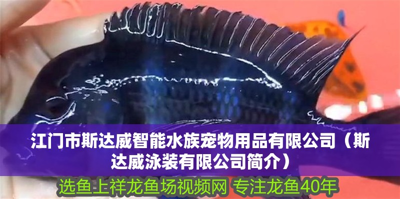 江門市斯達(dá)威智能水族寵物用品有限公司（斯達(dá)威泳裝有限公司簡介）