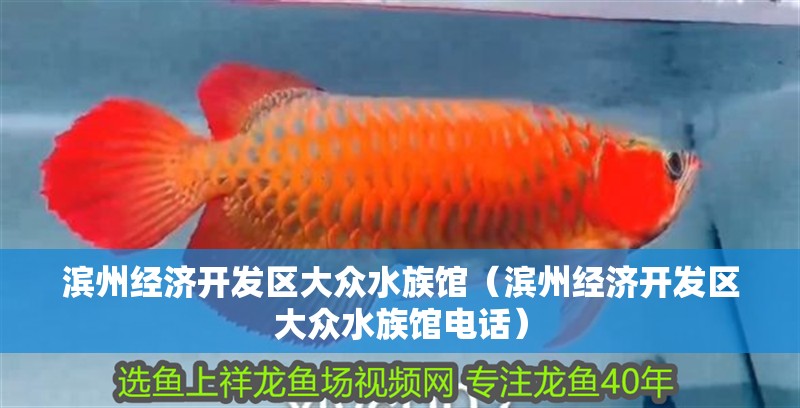 濱州經濟開發區大眾水族館（濱州經濟開發區大眾水族館電話）