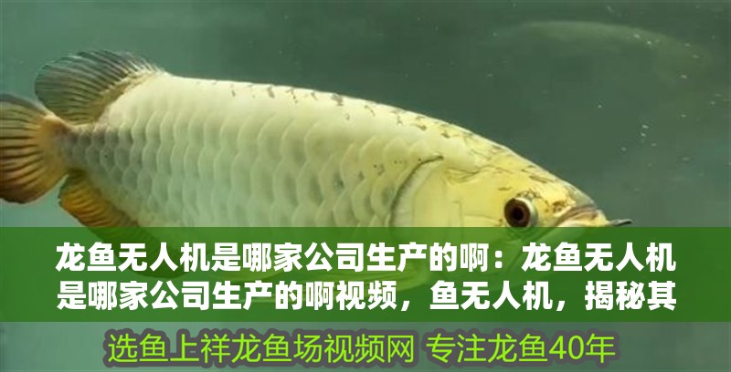 龍魚無人機是哪家公司生產的啊：龍魚無人機是哪家公司生產的啊視頻，魚無人機，揭秘其