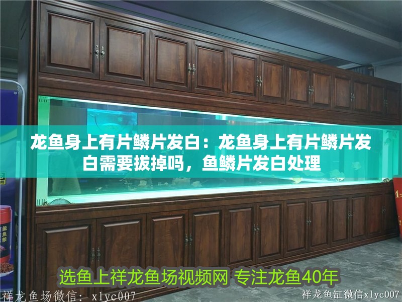 龍魚身上有片鱗片發白：龍魚身上有片鱗片發白需要拔掉嗎，魚鱗片發白處理