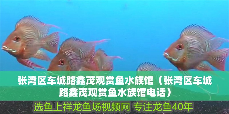 張灣區車城路鑫茂觀賞魚水族館（張灣區車城路鑫茂觀賞魚水族館電話）