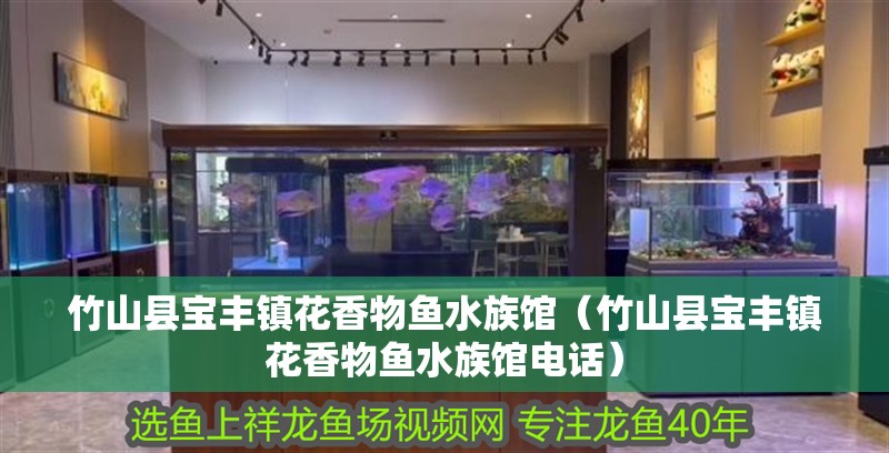 竹山縣寶豐鎮(zhèn)花香物魚水族館（竹山縣寶豐鎮(zhèn)花香物魚水族館電話）