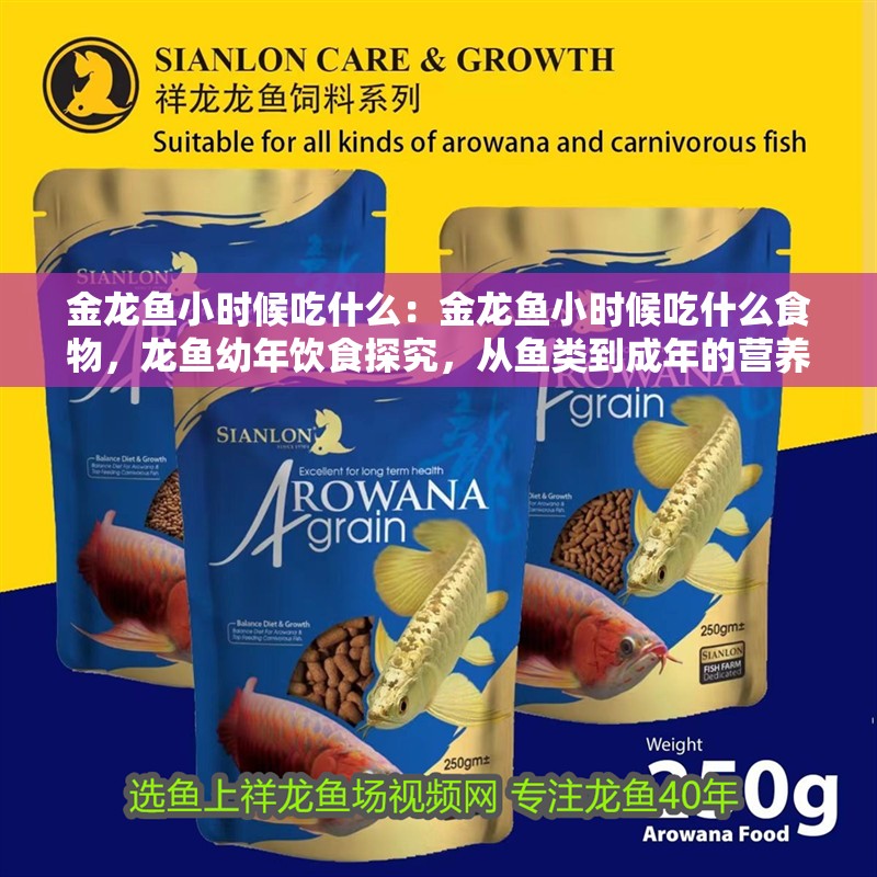 金龍魚小時候吃什么：金龍魚小時候吃什么食物，龍魚幼年飲食探究，從魚類到成年的營養轉變