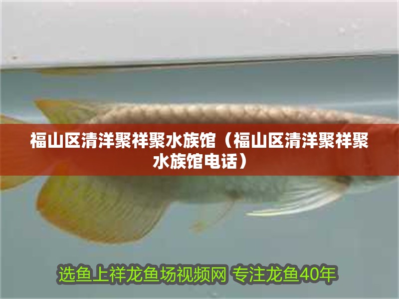 福山區(qū)清洋聚祥聚水族館（福山區(qū)清洋聚祥聚水族館電話）