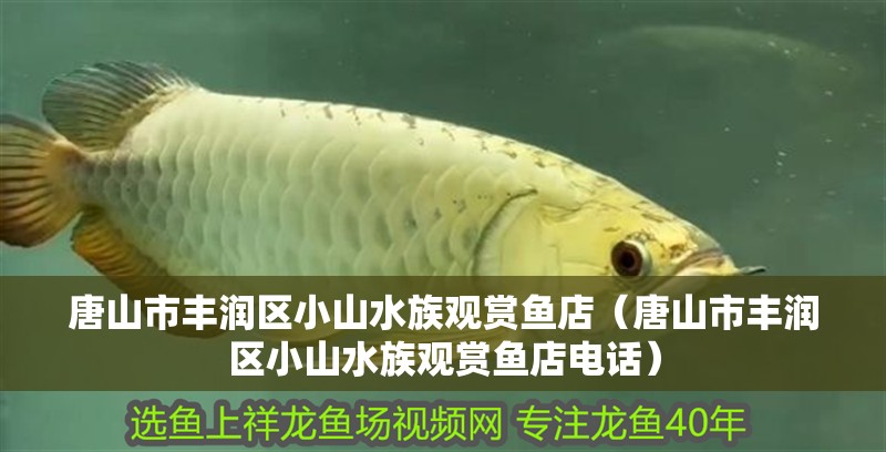 唐山市豐潤區小山水族觀賞魚店（唐山市豐潤區小山水族觀賞魚店電話） 唐山市豐潤區小山水族觀賞魚店（唐山市豐潤區小山水族觀賞魚店電話） 全國水族館企業名錄 第2張