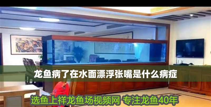 龍魚病了在水面漂浮張嘴是什么病癥
