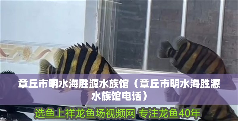 章丘市明水海勝源水族館（章丘市明水海勝源水族館電話）