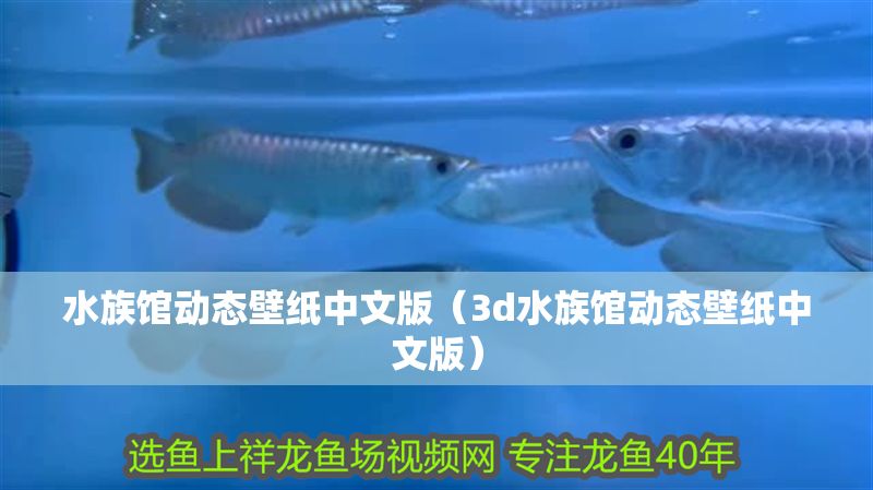 水族館動(dòng)態(tài)壁紙中文版（3d水族館動(dòng)態(tài)壁紙中文版）
