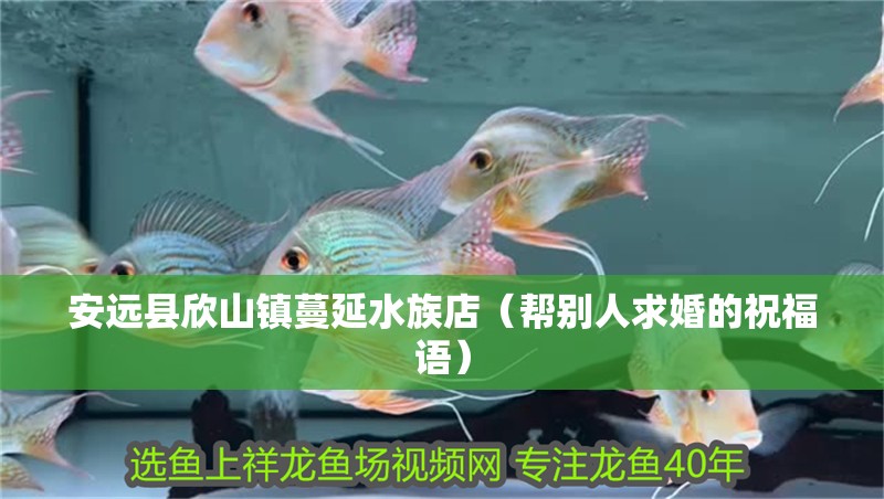 安遠縣欣山鎮蔓延水族店（幫別人求婚的祝福語）