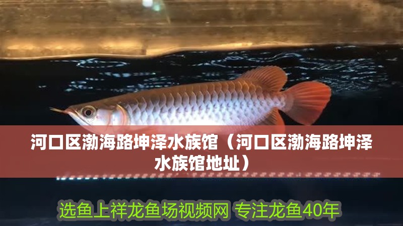 河口區(qū)渤海路坤澤水族館（河口區(qū)渤海路坤澤水族館地址）