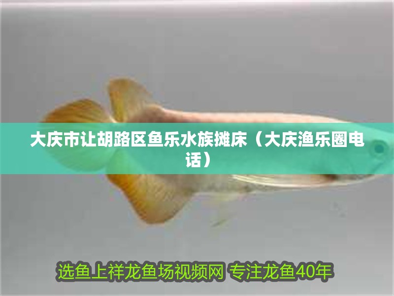 大慶市讓胡路區魚樂水族攤床（大慶漁樂圈電話）