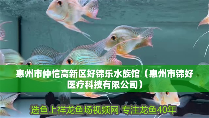 惠州市仲愷高新區好錦樂水族館（惠州市錦好醫療科技有限公司）