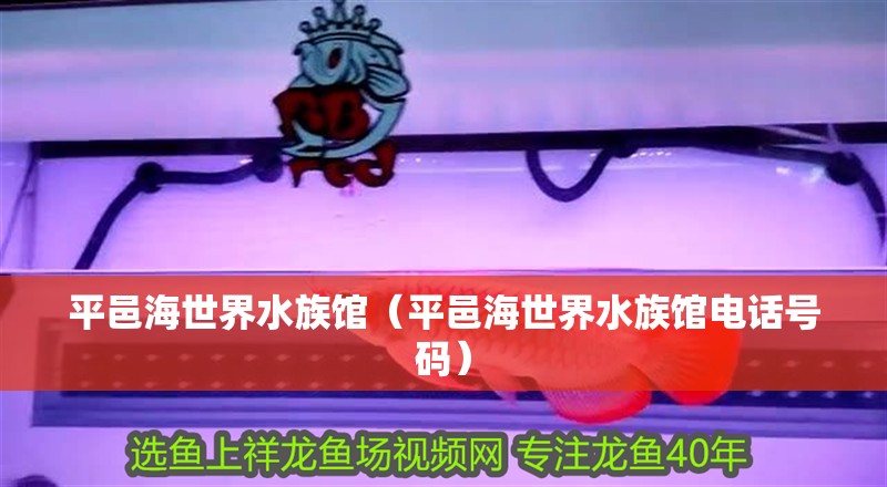 平邑海世界水族館（平邑海世界水族館電話號碼） 平邑海世界水族館（平邑海世界水族館電話號碼） 全國水族館企業名錄 第2張
