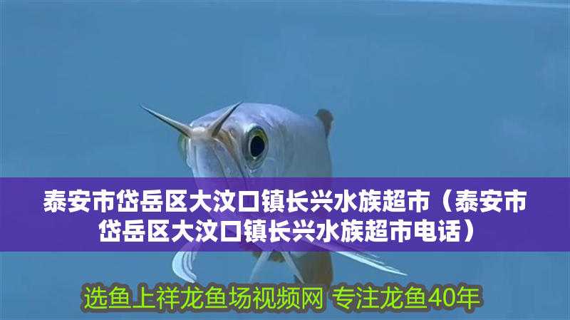 泰安市岱岳區大汶口鎮長興水族超市（泰安市岱岳區大汶口鎮長興水族超市電話）