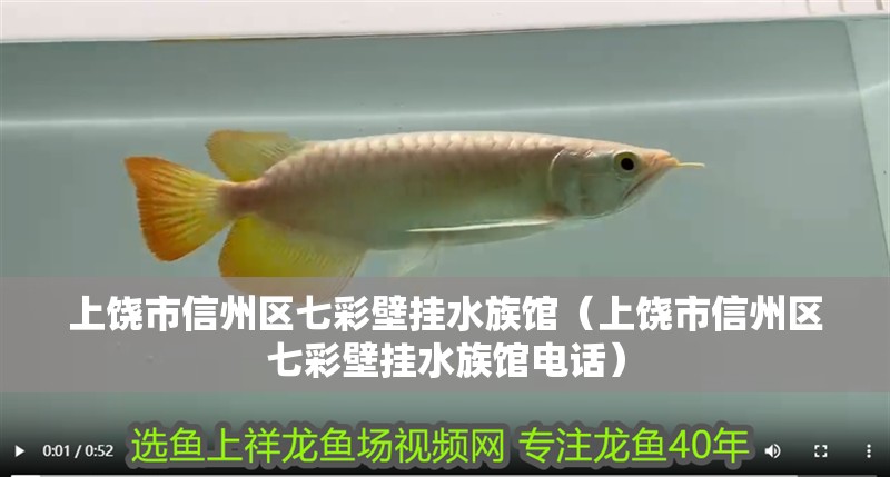 上饒市信州區七彩壁掛水族館（上饒市信州區七彩壁掛水族館電話）